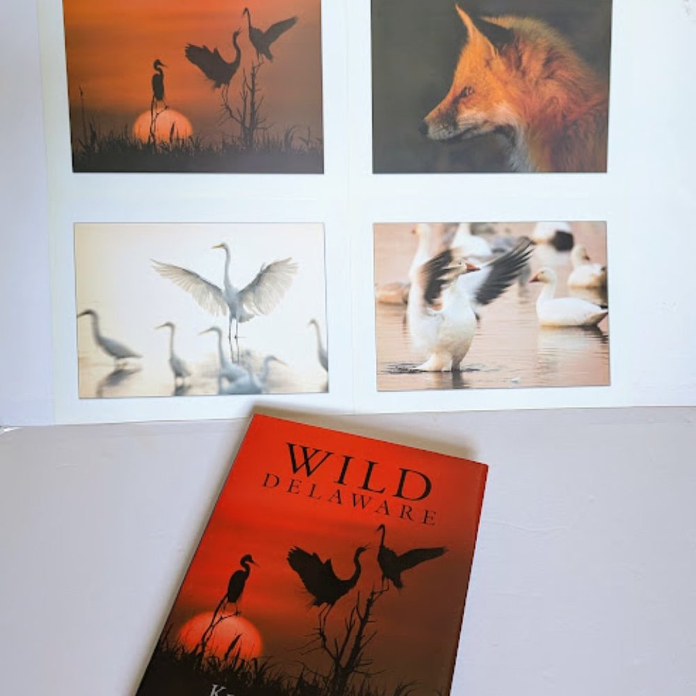 SPECIAL Signed 1st Ed Wild Delaware Kevin Fleming Coffee Table Book 4 Prints PKG